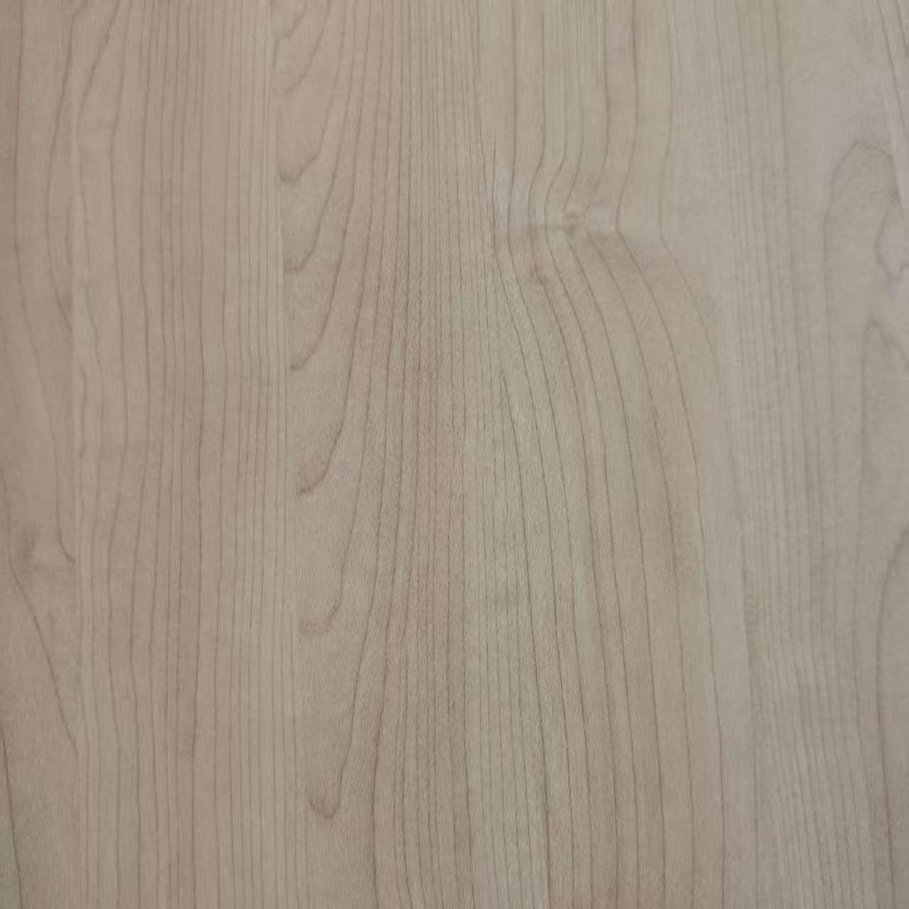 Carta melaminica8031-10